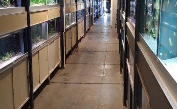 Aquarium Coenen B.V.