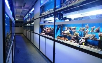 Aquarium Coenen B.V.