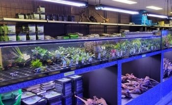 Aquarium en vijverspeciaalzaak Brouwers