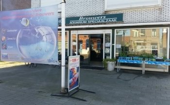 Aquarium at Vijverspeciaalzaak Brouwers