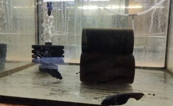 Aquariumspeciaalzaak Aquariumgek
