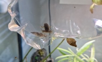 Aquariumspeciaalzaak Aquariumgek