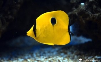 Aqua Zoo Leerdam