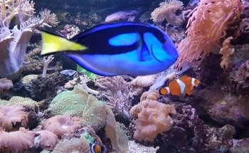 Aqua Zoo Leerdam