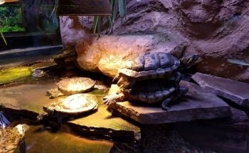 Aqua Zoo Leerdam