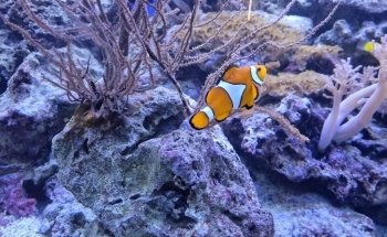 Aqua Zoo Leerdam