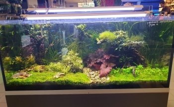Verloop Aquariumspeciaalzaak