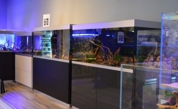 Verloop Aquariumspeciaalzaak