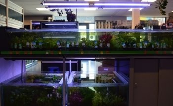 Verloop Aquariumspeciaalzaak