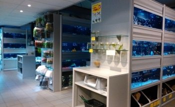 Verloop Aquariumspeciaalzaak