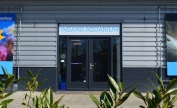 Verloop Aquarium Specialty Store