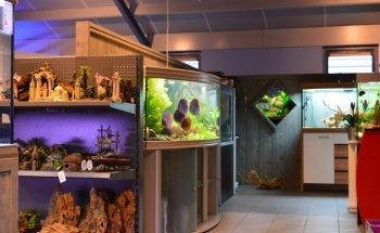 Verloop Aquariumspeciaalzaak