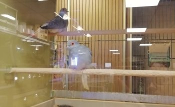 DISCUS van de Weerd Veenendaal
