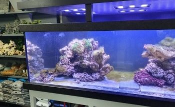Aquadeco