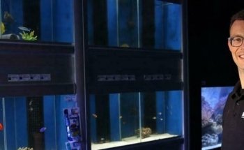 Aquadeco