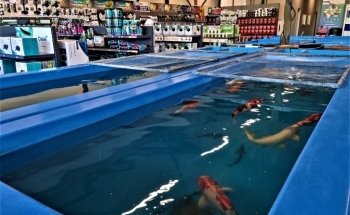 Aquadeco