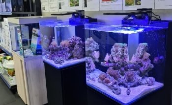 Aquadeco