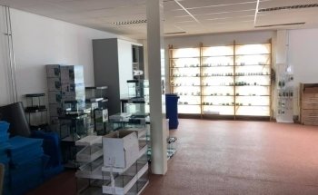 Onlineaquariumspullen