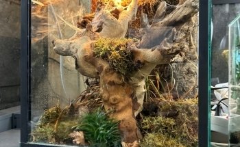 Pets & Co Den Bosch