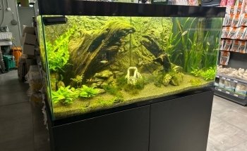 Pets & Co Den Bosch
