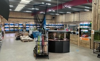 Aquariumplantenshop