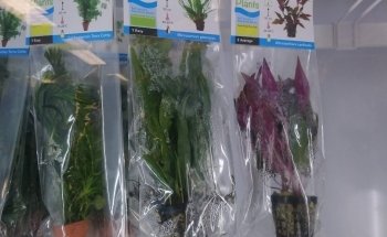 Pets Place