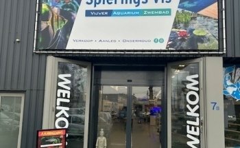 Spierings Fish