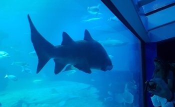Palma Aquarium