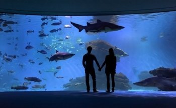 Palma Aquarium