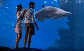 Palma Aquarium