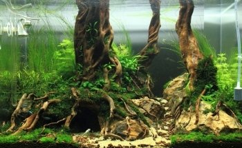 AquariumWarenhuis