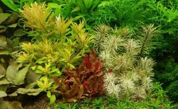 AquariumWarenhuis