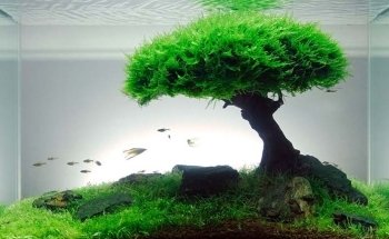 AquariumWarenhuis