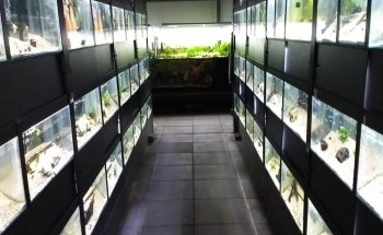 Bovis vijvers & aquaria