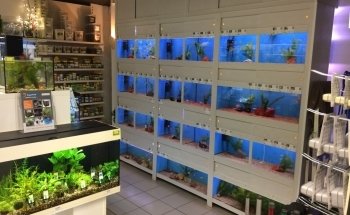 Pets&Co Berends