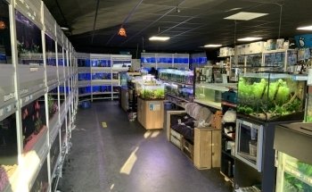 Aquariumexpert Zoetermeer