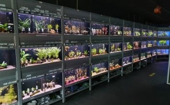 Aquariumexpert Zoetermeer