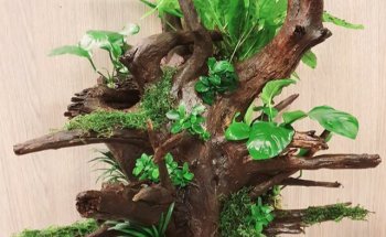 Aquariumexpert Zoetermeer