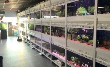 Aquariumexpert Zoetermeer