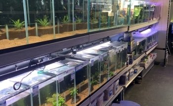 Aquariumexpert Zoetermeer