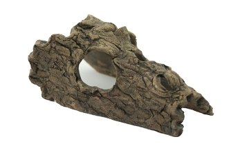 CeramicNature / Ceramic Nature
