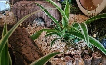 CeramicNature / Ceramic Nature
