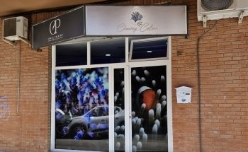 Acuarios Marinos Chasing Colors