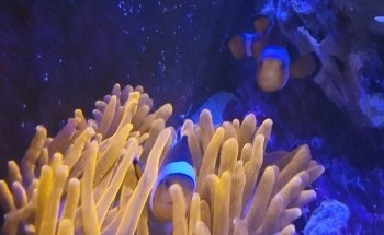 Aquarium Construction Netherlands