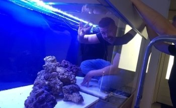 Aquariumbouw nederland