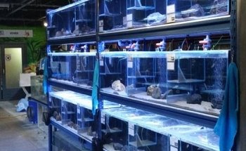 HVP AQUA - Experts in aquarium LED