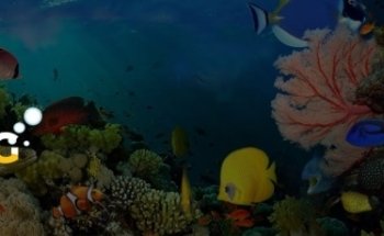 HVP AQUA - Experts in aquarium LED