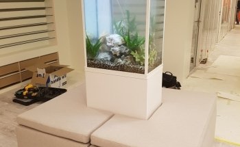 Aquariumbouwer