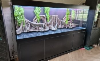 Aquarium Builder