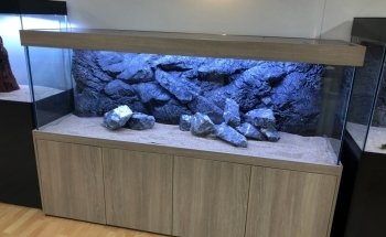 Aquaria van wolferen